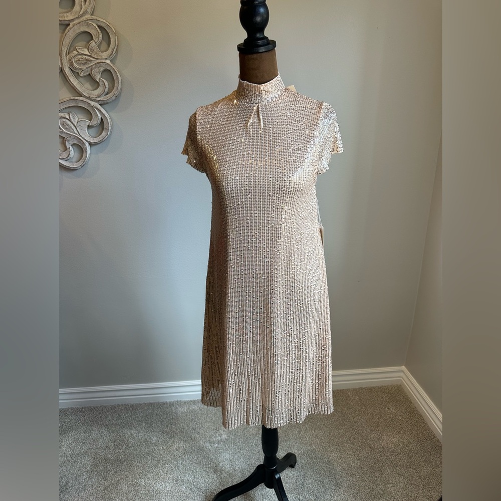 JOYFOLIE Mia Joy Michelle Dress In Champagne - Picture 4 of 16